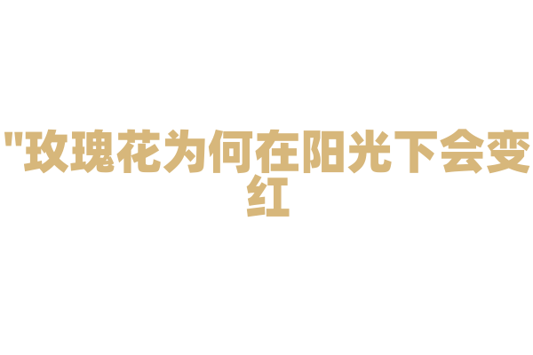 "玫瑰花为何在阳光下会变红？"